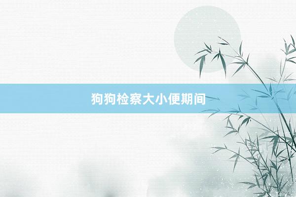 狗狗检察大小便期间