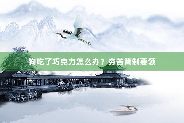狗吃了巧克力怎么办？穷苦管制要领